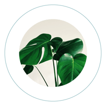 horticulture addiction treatment rehab